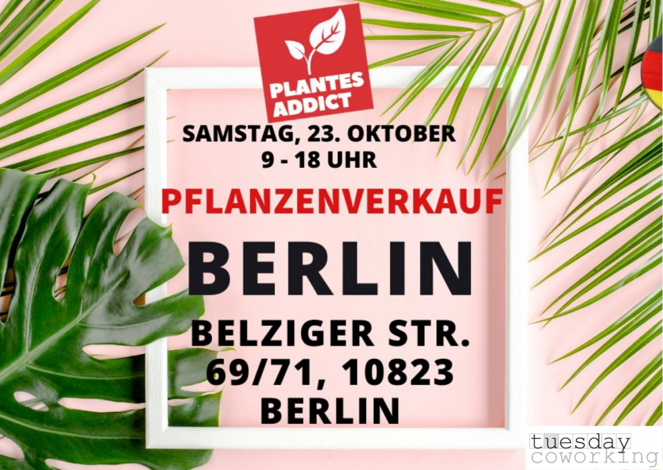 Pflanzenverkauf mit Plantes Addict Berlin